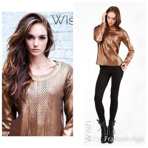 ❌SOLD❌ Wish Amber Jumper