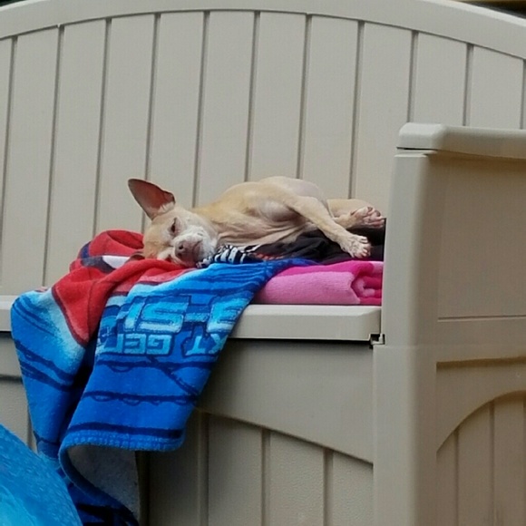 Meet your Posher, Alicia