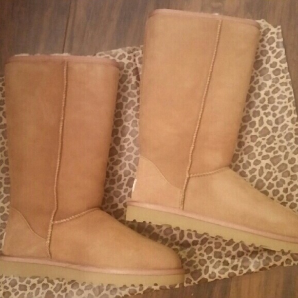 Tall Ugg Boots in Chestnut