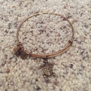 Alex and Ani discontinued turtle