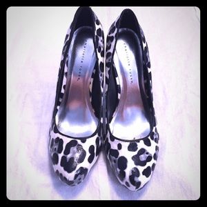 Snow leopard heels