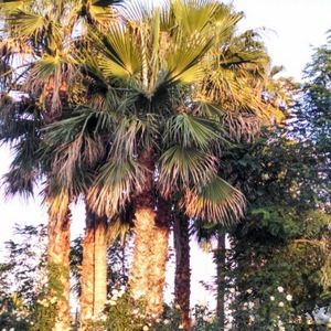 Meet your Posher, Donielle