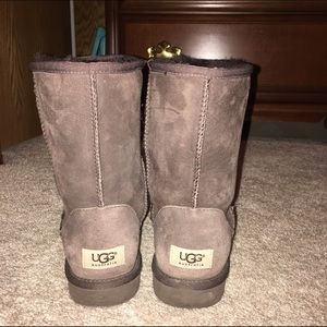 Classic Short Chocolate Uggs