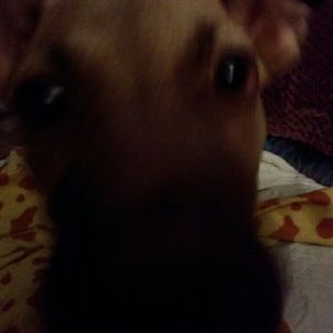 Meet your Posher, Cheryl