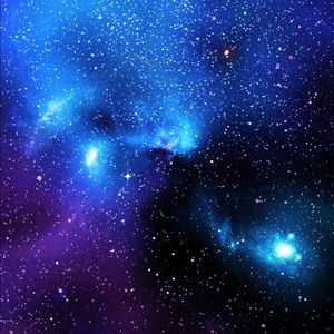 Meet your Posher, Liz