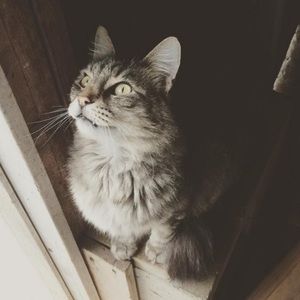 Meet your Posher, Rebekah