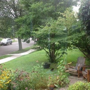 Meet your Posher, Marcela