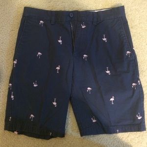 Pink Falmingo Frat Shorts