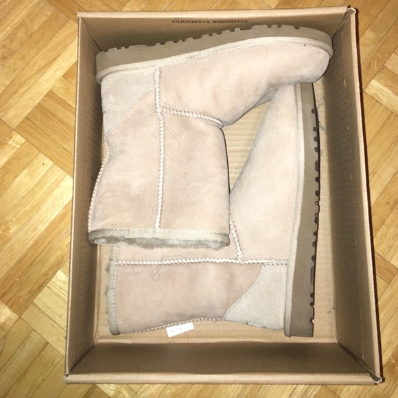 K classic short Uggs.