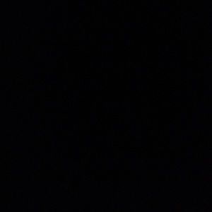 Meet your Posher, Roxann