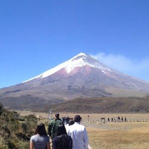 Meet your Posher, Harlyn