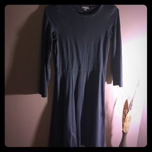 Gap long sleeve stretchy Gray Skater Dress