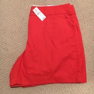 🆕 Loft- NWT Riveria shorts, size 10