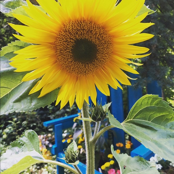 Meet your Posher, Olivia