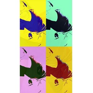 Meet your Posher, Taylor