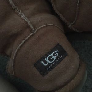 Chestnut uggs