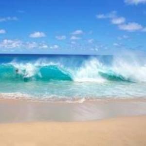 Meet your Posher, Trisha