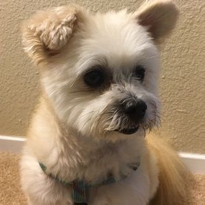 Meet your Posher, Jericho