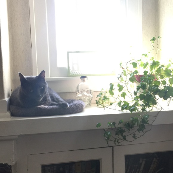 ✨🎉SALE🎉✨ - Picture 4 of 4