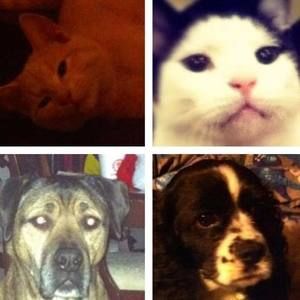 Meet your Posher, Betty