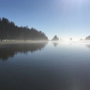 Meet your Posher, Iris