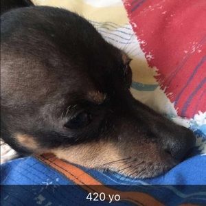 Meet your Posher, Doby