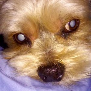 Meet your Posher, Quyen