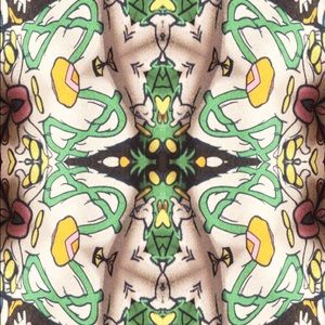 Meet your Posher, Fallon