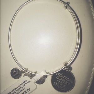 alex&ani silver (everything happens for a reason)