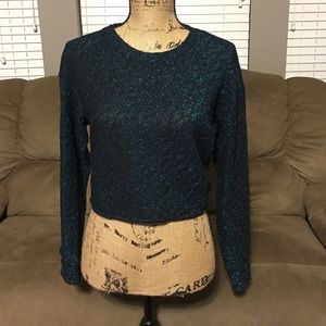 Zara W&B Collection Shimmer Crop Top