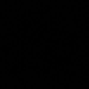 Meet your Posher, Salome