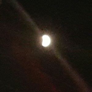 Meet your Posher, Roxanna