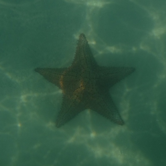 Meet your Posher, Val