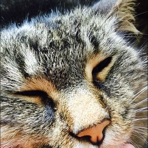 Meet your Posher, Amy