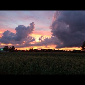 Meet your Posher, Leeann