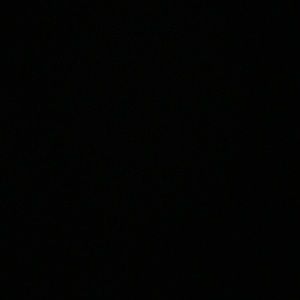 Meet your Posher, Ella