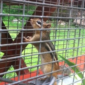 Meet your Posher, Colin