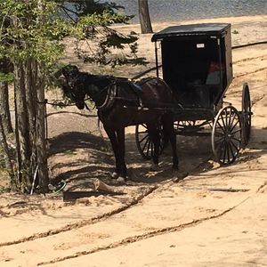 Meet your Posher, Harriet