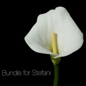 VS Black Dot Bra and North Face 1/4"