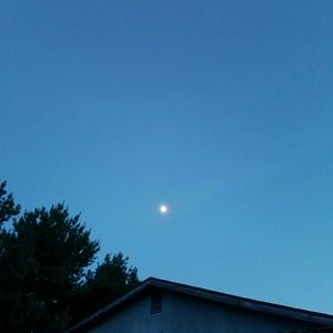 Meet your Posher, Trina