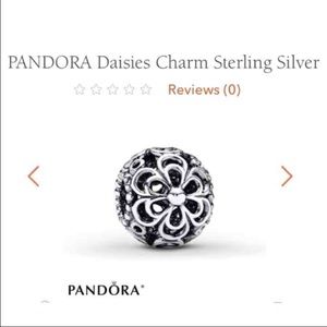 Pandora charm