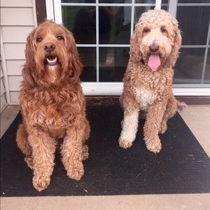 Meet your Posher, Lisa