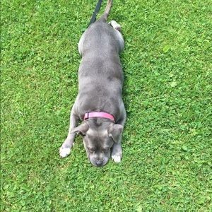 Meet your Posher, Maria