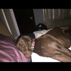 Meet your Posher, Jose