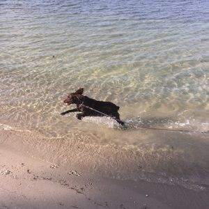 Meet your Posher, Bell