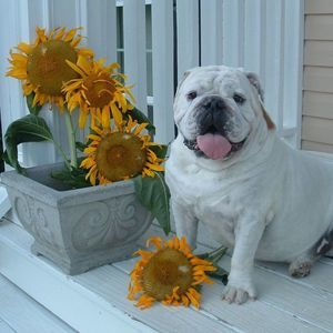 Meet your Posher, Jackie