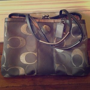 Coach signature stripe metallic carryall