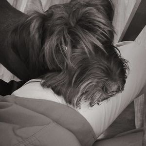 Meet your Posher, Connee