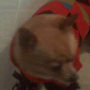 Meet your Posher, Kimberly