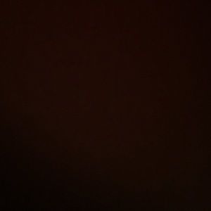 Meet your Posher, Lily